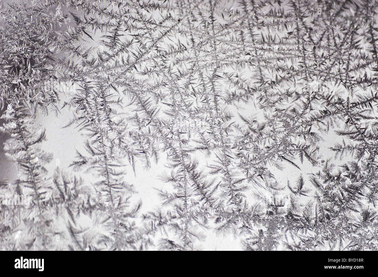 Congelati i cristalli di ghiaccio su una finestra Foto Stock