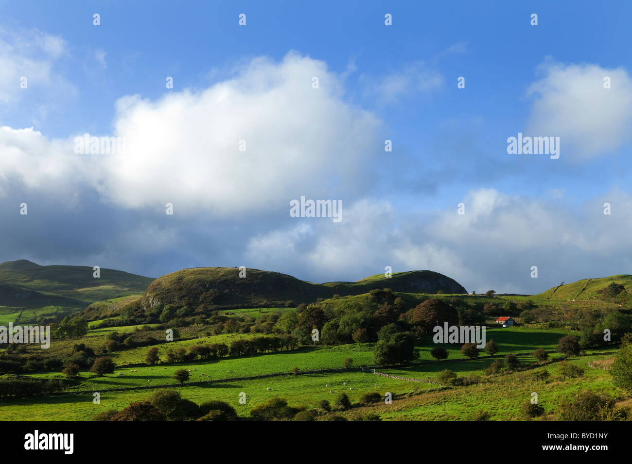 Campagna pastorale e Hill Farm vicino Leean Mountain, nella Contea di Leitrim. L'Irlanda Foto Stock