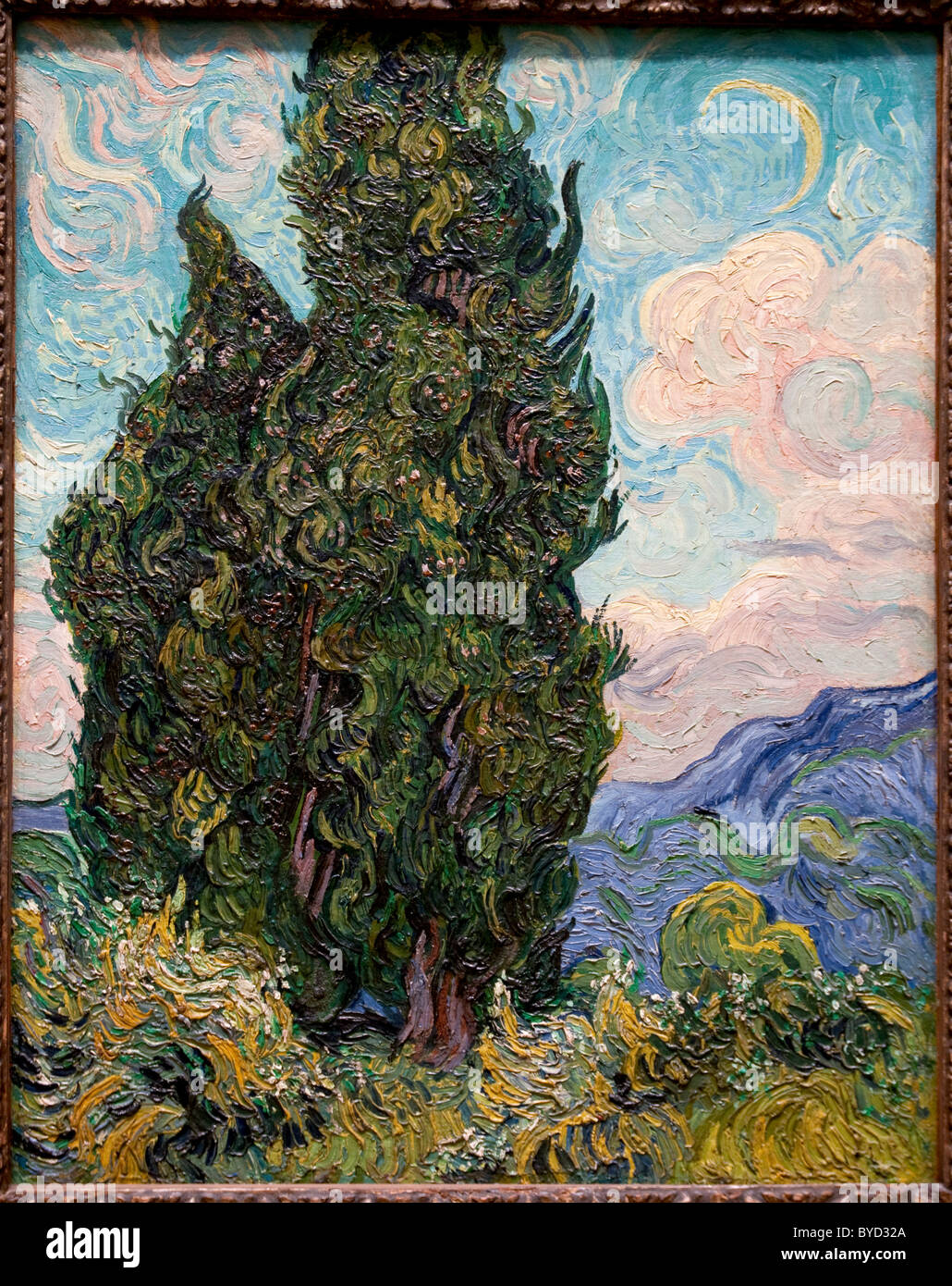 Cipressi, 1889 da Vincent van Gogh, Foto Stock