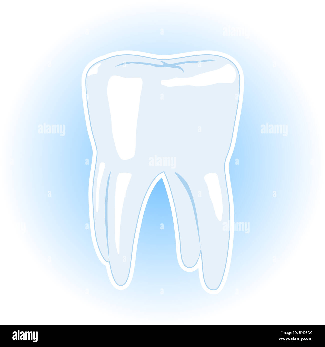 Illustrazione vettoriale di un dente sano isolato bianco su sfondo blu Foto Stock