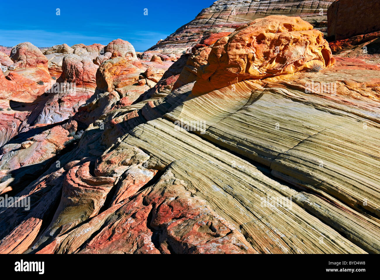 Onde colorate di arenaria in Arizona Coyote Buttes North deserto e vermiglio scogliere monumento nazionale. Foto Stock