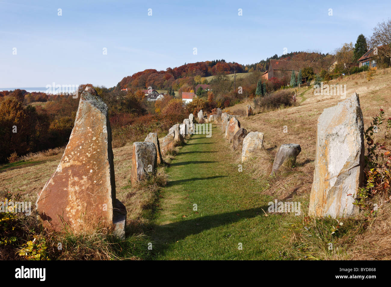 Stone avenue, celtica civiltà megalitica repliche, Geyersberg, Bergen comune nell'area Dunkelsteinerwald, Wachau Foto Stock