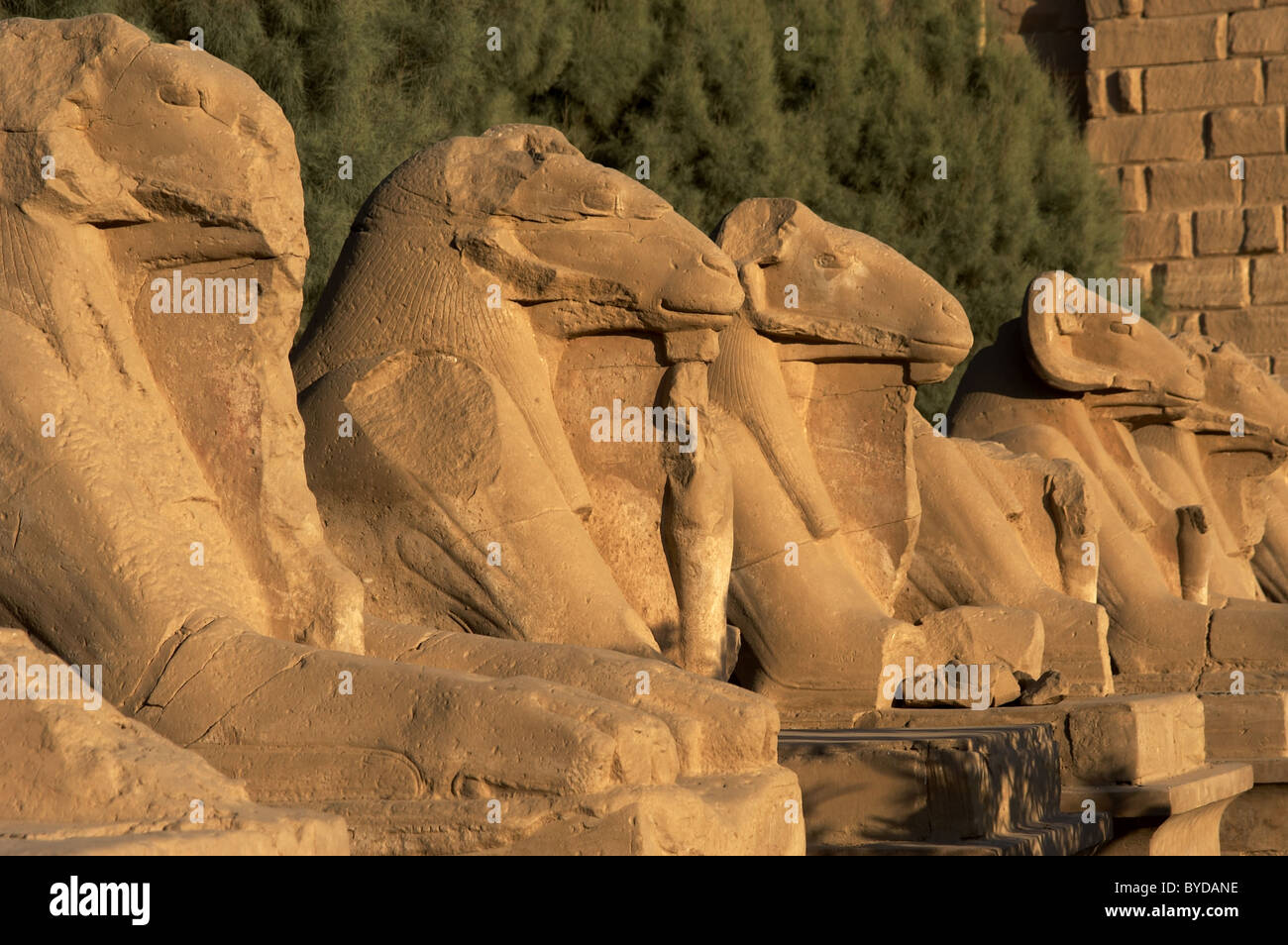 Arte Egizia Tempio di Karnak. Viale di sfingi con ram alla testa. Intorno a Luxor. L'Egitto. Foto Stock