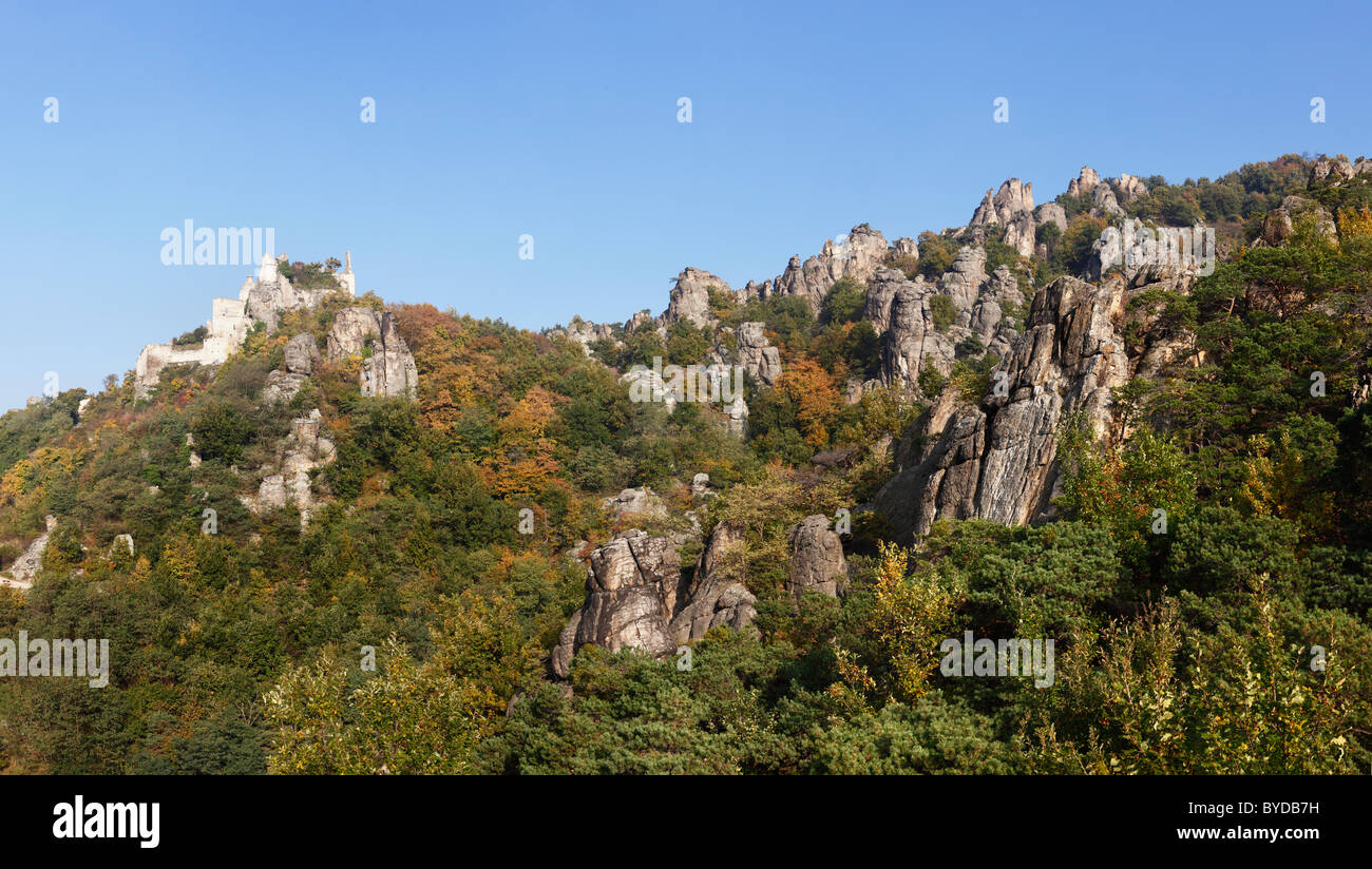 Rocce con giardino d'arrampicata e Burgruine Duernstein rovine del castello, Wachau, Waldviertel, Niederoesterreich, Oesterreich, Europa Foto Stock