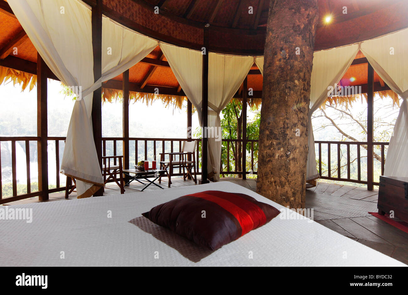 In un albero di casa, tree house hotel, Rain Forest Hotel, Kallana, Chalakudi, Kerala, India, Asia Foto Stock