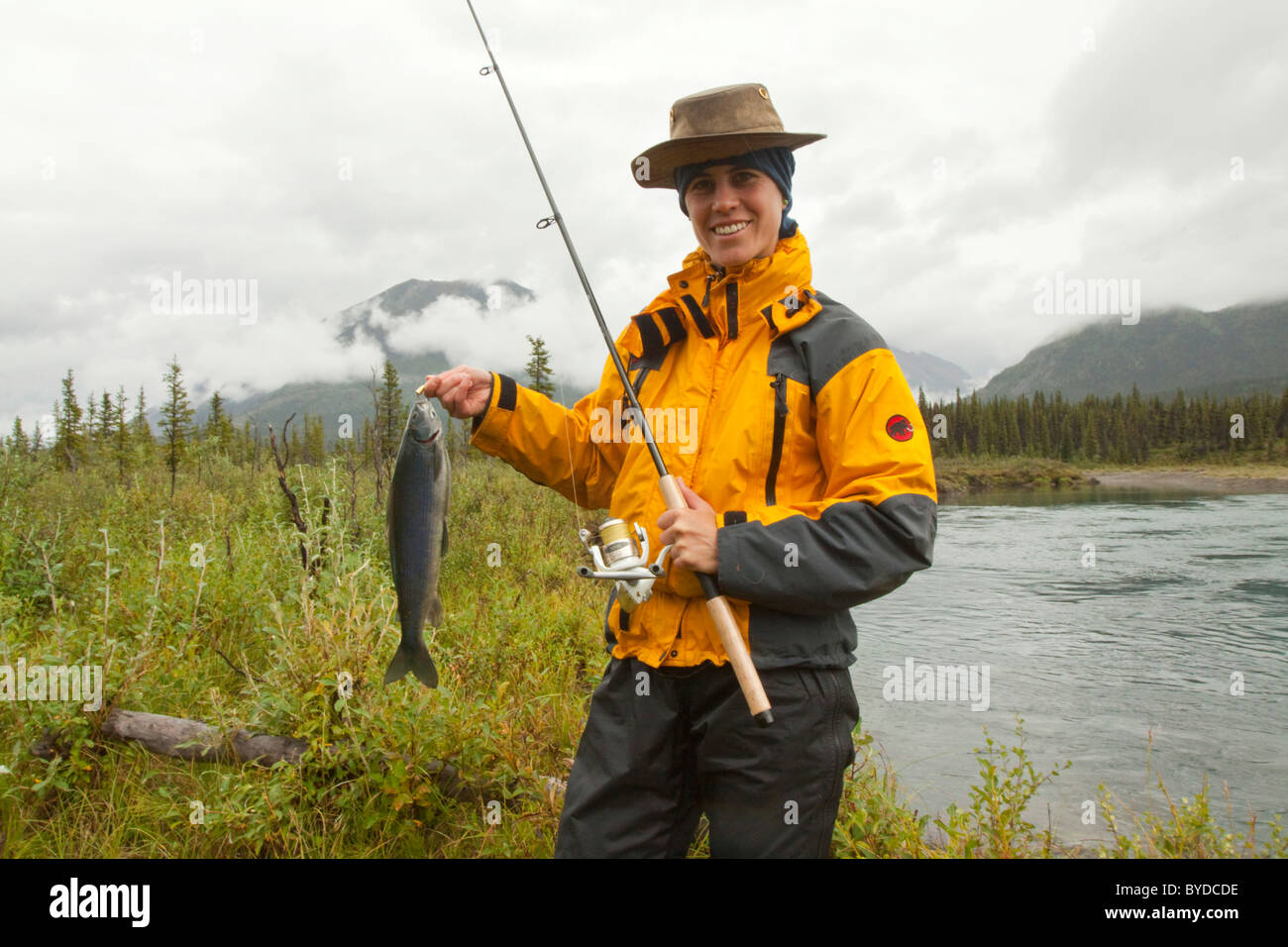 Giovane donna pesca, presentando la sua cattura, grandi Arctic temolo (Thymallus arcticus), Wind River, Yukon Territory, Canada Foto Stock