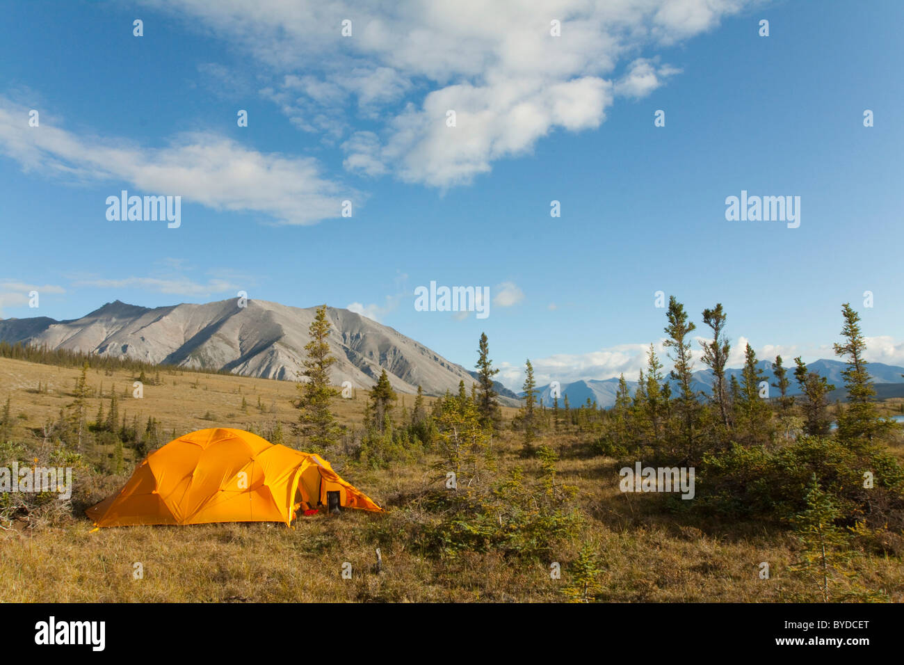 Spedizione tenda, tundra artica, camping, Mackenzie montagne dietro, Wind River, Yukon Territory, Canada Foto Stock