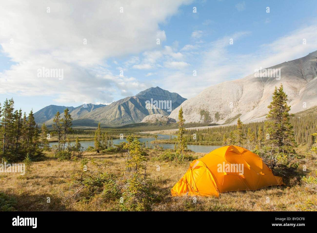 Spedizione tenda, tundra artica, camping, Mackenzie montagne dietro, Wind River, Yukon Territory, Canada Foto Stock