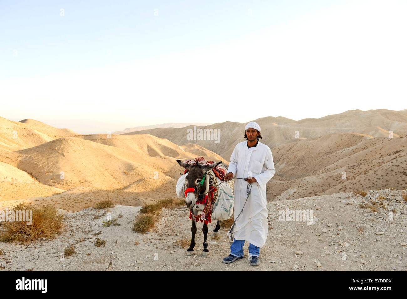 Arabo venditore souvenir con donkey, deserto Wadi el Qelt, Gerico, la Giudea, Cisgiordania, Israele, Medio Oriente e Asia sud-ovest Foto Stock