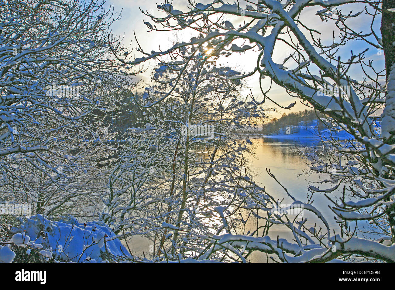 Regno Unito Scozia Highland Inverness-shire Spey Valley Loch Insh sole invernale Foto Stock