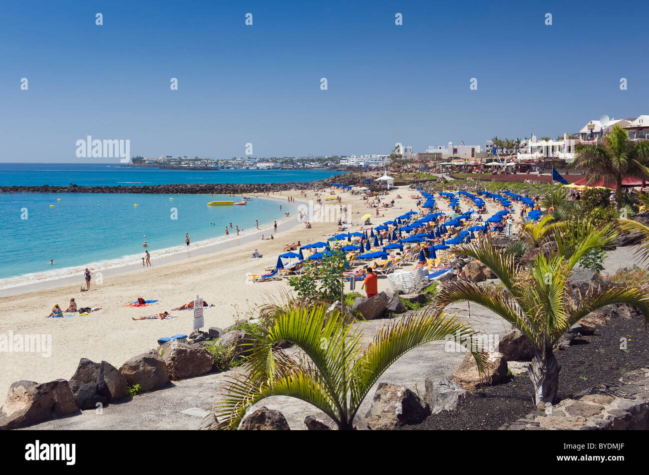 Spiaggia di sabbia, Playa Dorada, Playa Blanca, Lanzarote, Isole Canarie, Spagna, Europa Foto Stock