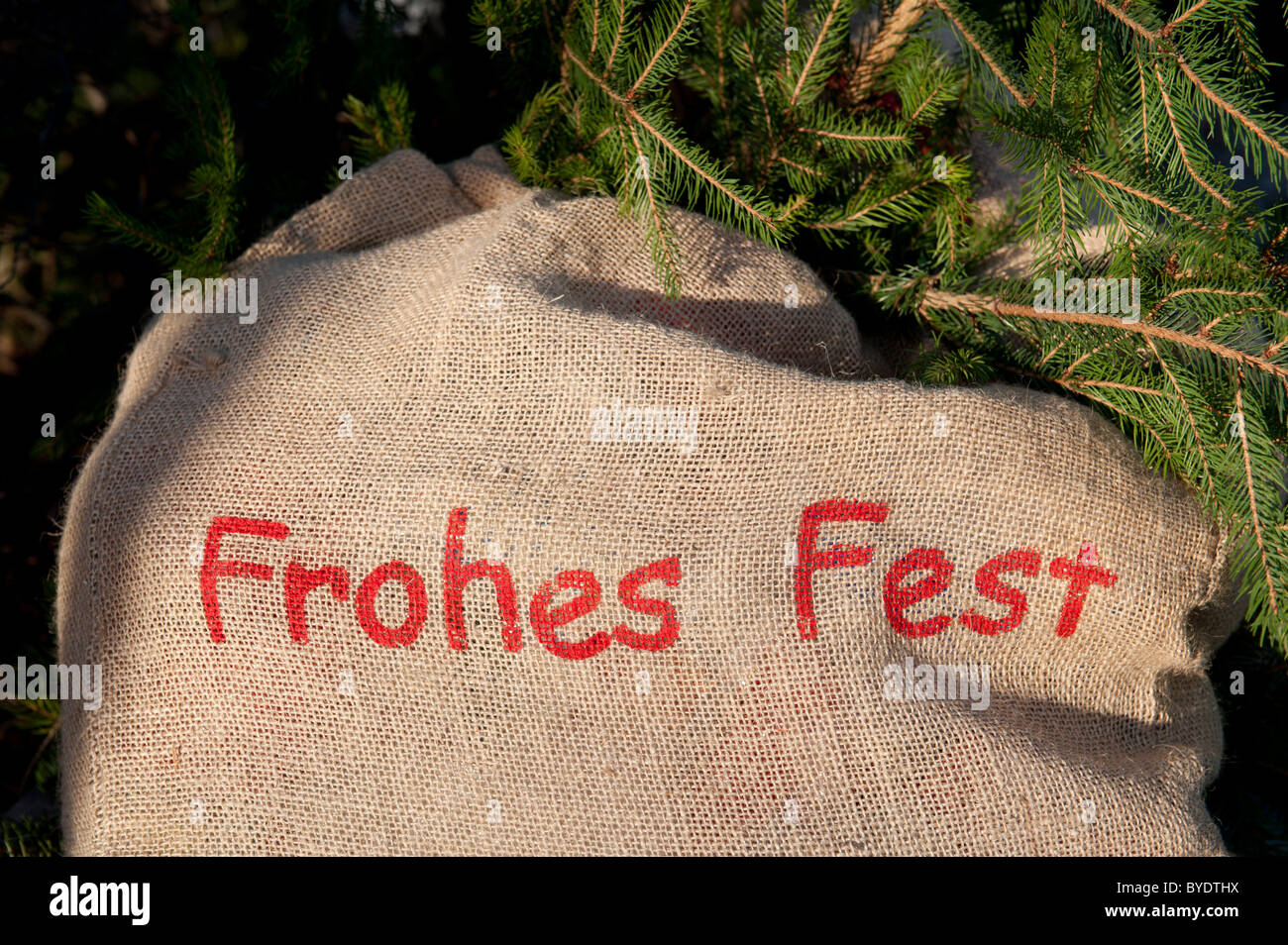 Frohes Fest o Buon Natale, scritta rossa su un sacco di rami di abete rosso Foto Stock