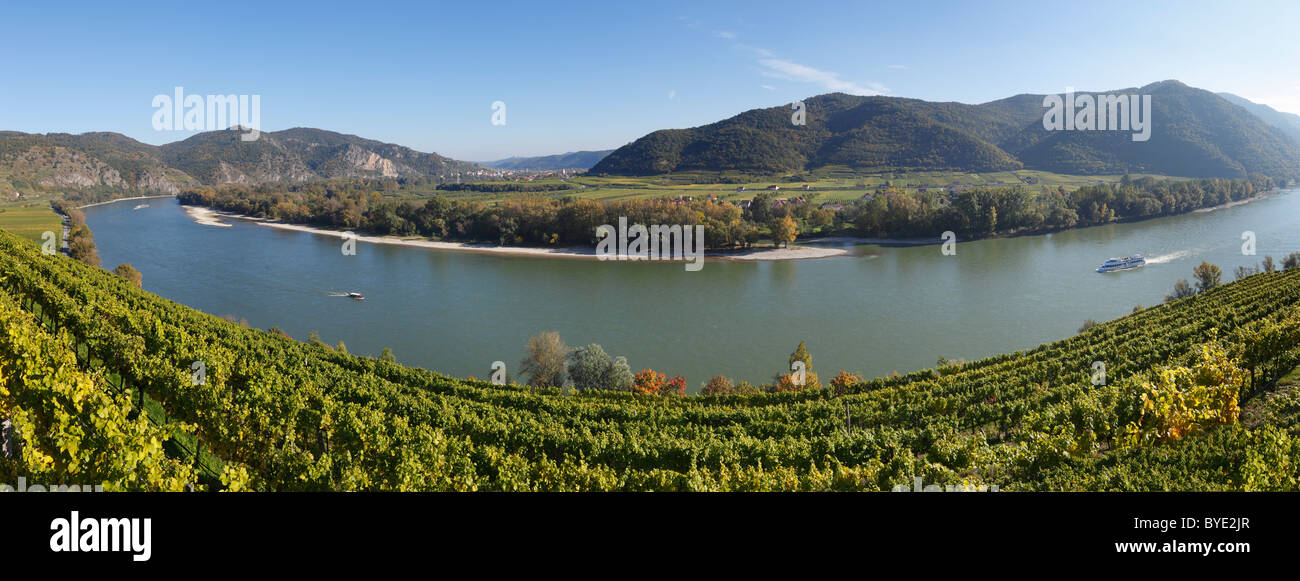 Achleiten vigneti vicino a Weissenkirchen, Venedigau Donau-Auen con Duernstein nella distanza, Wachau, Mostviertel, deve trimestre Foto Stock