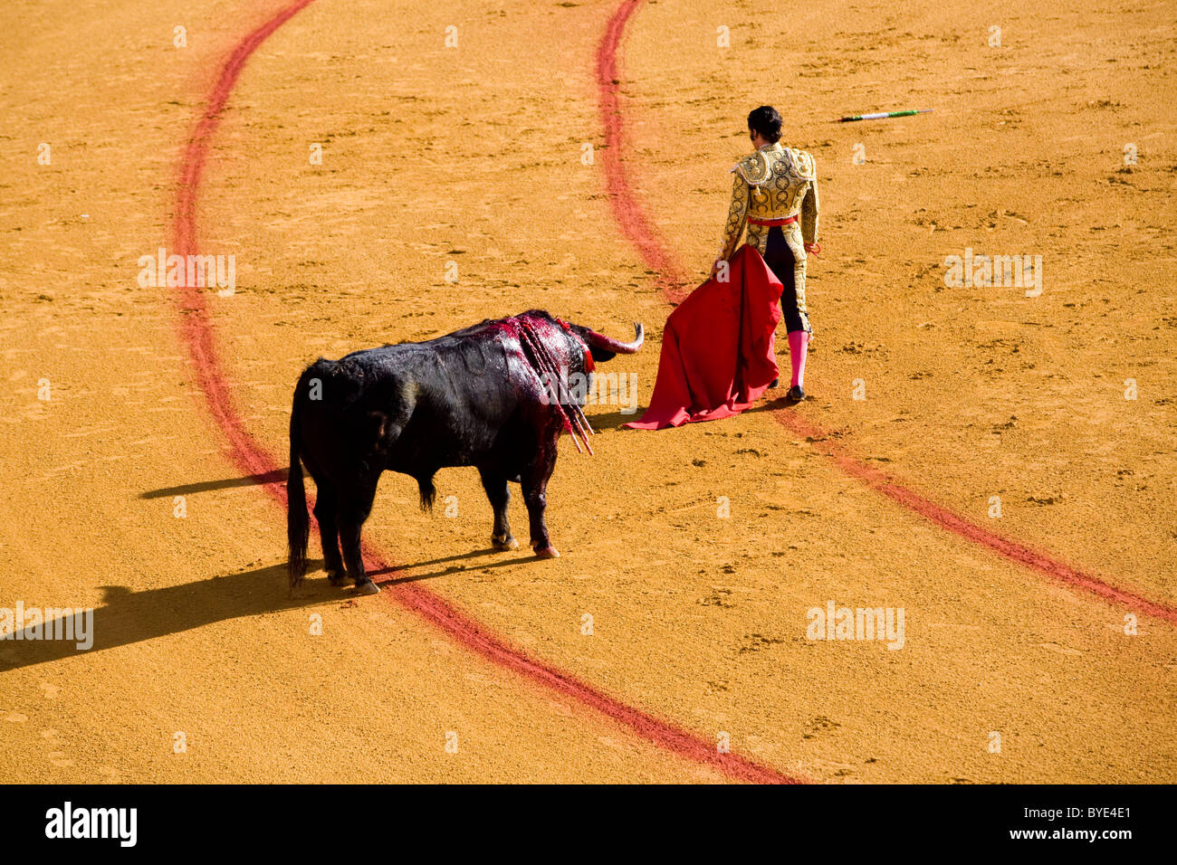 Bull fighter / matador / torero / lotta / corrida a Siviglia bullring, Plaza de Toros de la Maestranza. Siviglia, Spagna. Foto Stock