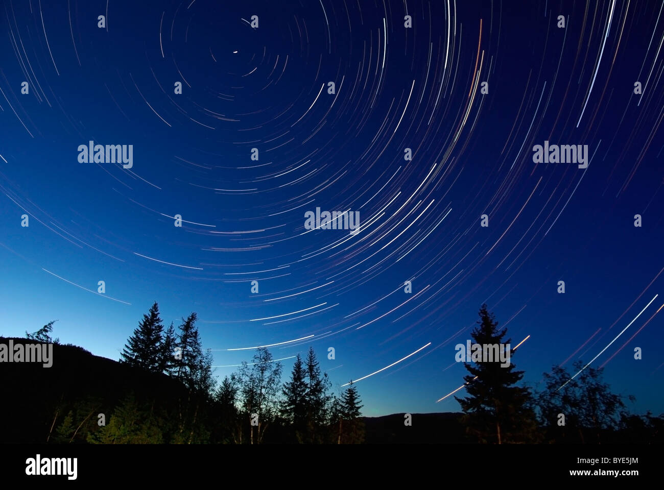 Giugno 14, 2008 - Tracce stellari al crepuscolo, Lumby, British Columbia, Canada. Foto Stock