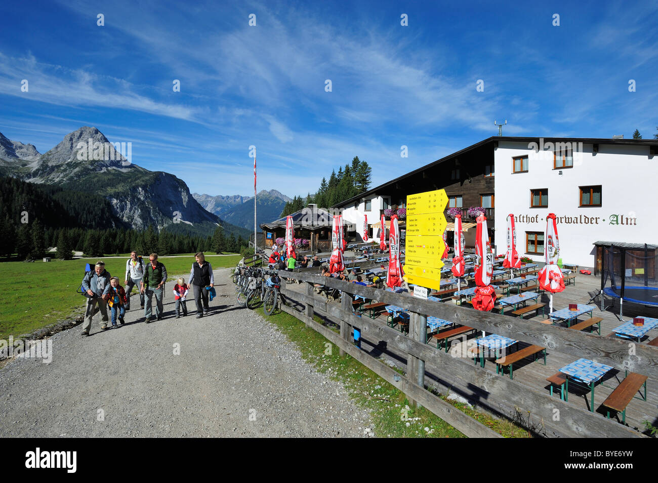 Ehrwalder Alm, Ehrwald, Tirolo, Austria, Europa Foto Stock