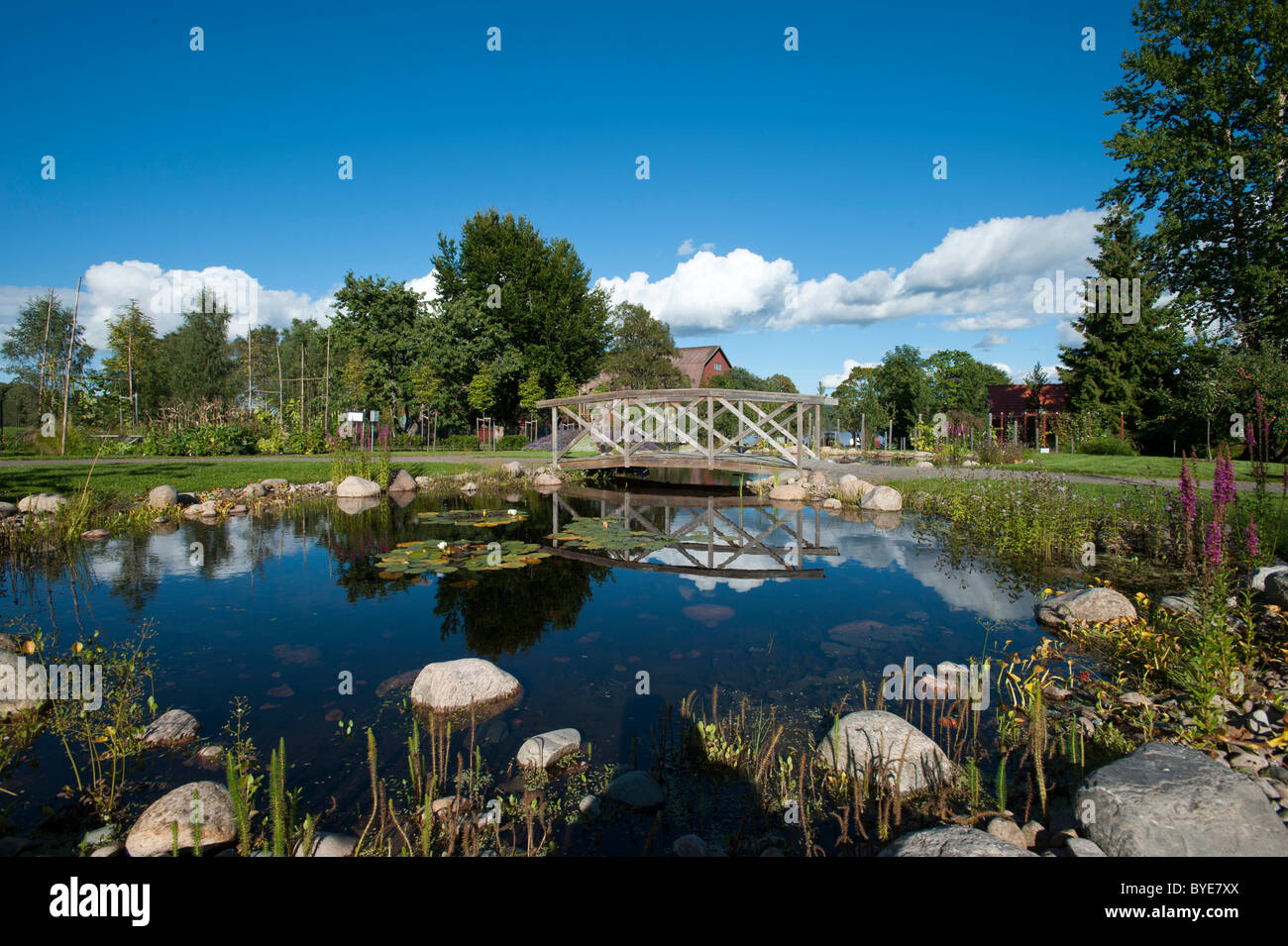 Parco Rottneros, Sunne, Vaermland, Svezia, Europa Foto Stock