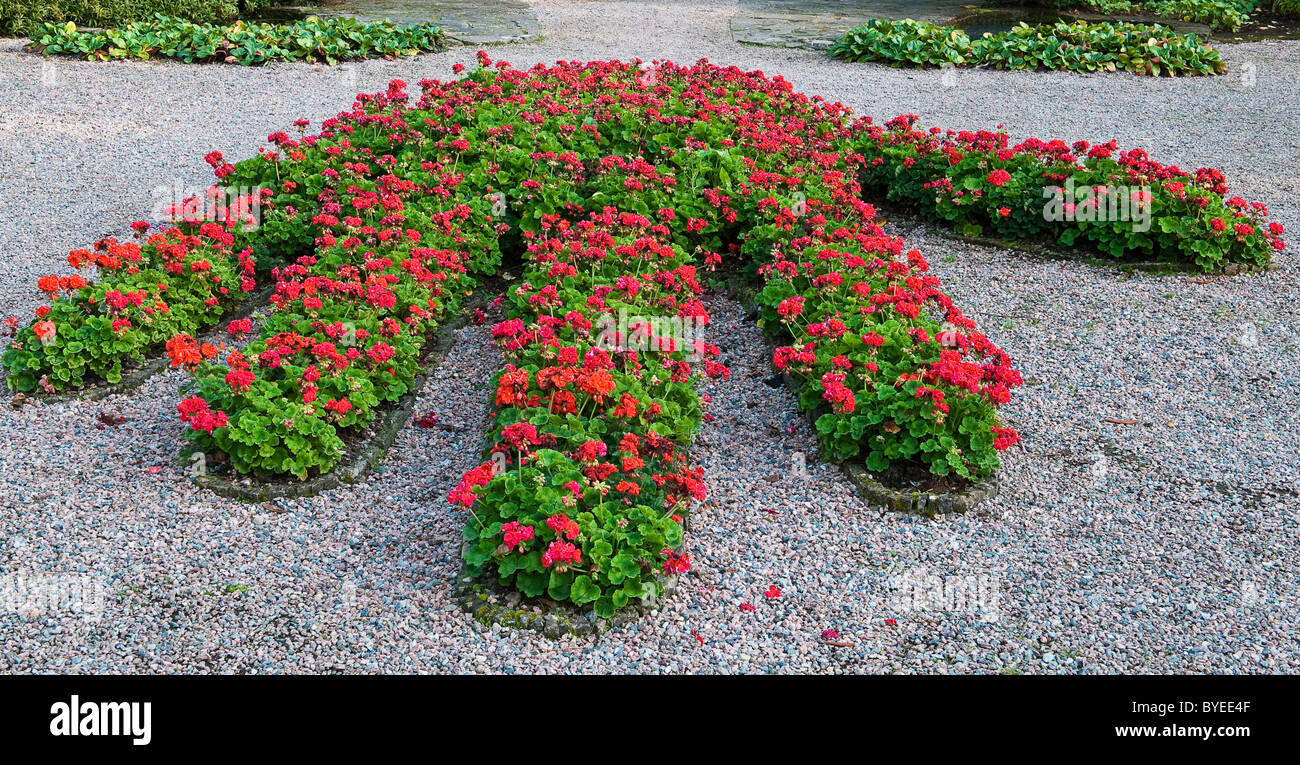 Montare Stewart, Irlanda del Nord. La Mano rossa di Ulster in Shamrock giardino piantumato con begonie Foto Stock
