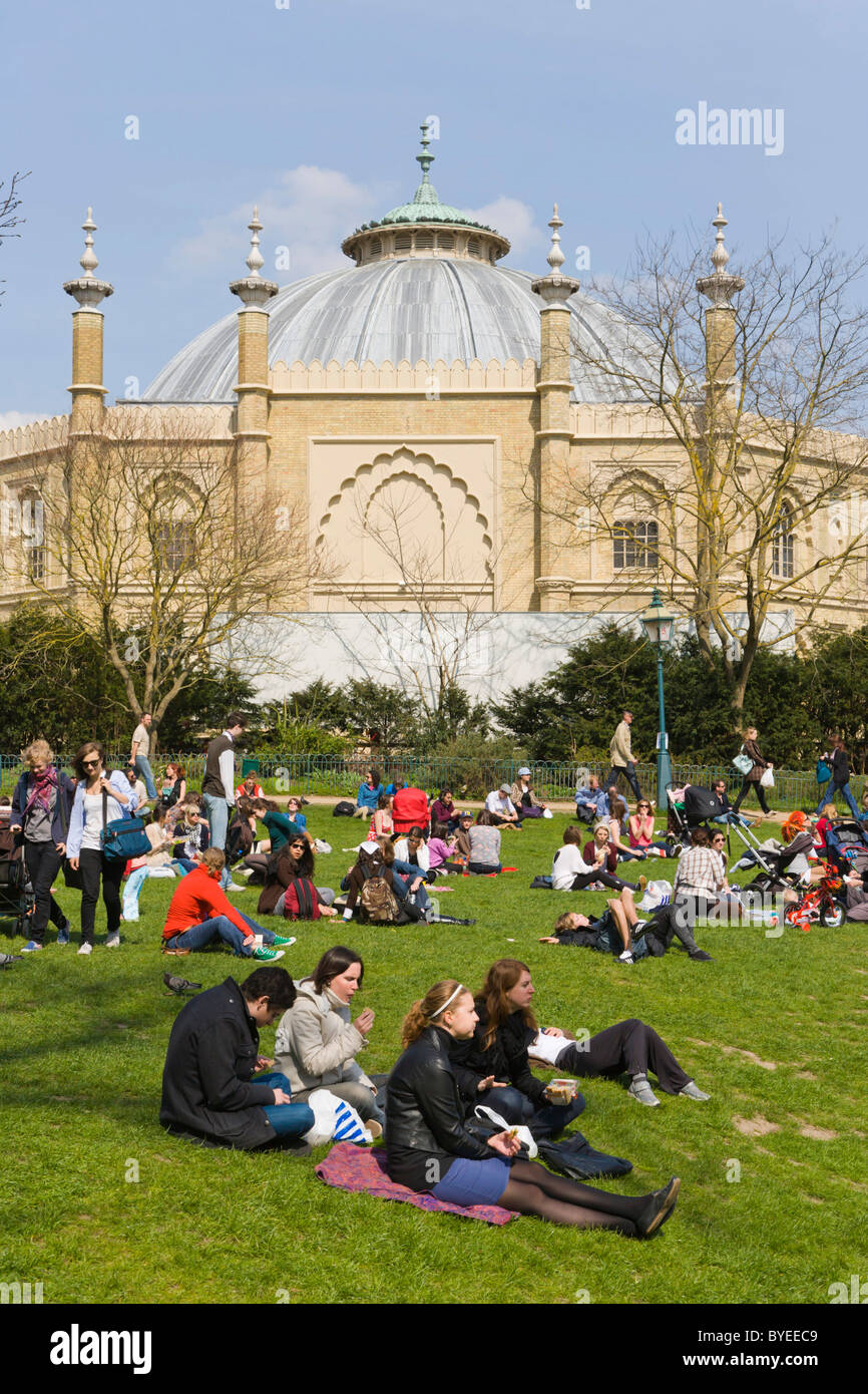 Brighton Dome dal Royal Pavilion Gardens, Brighton East Sussex, England, Regno Unito, Europa Foto Stock