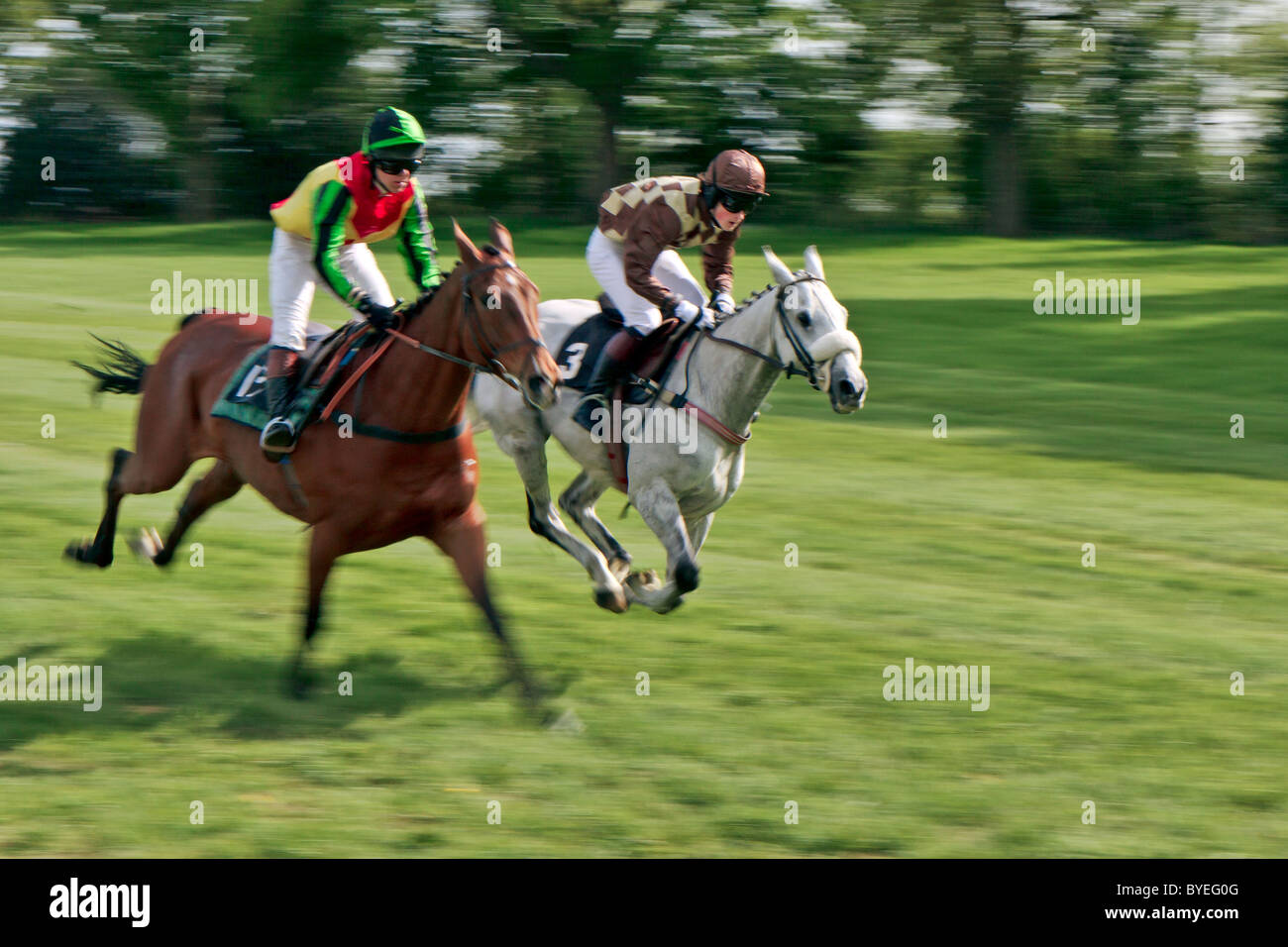 Punto a punto racing a Godstone Surrey cavallo Foto Stock