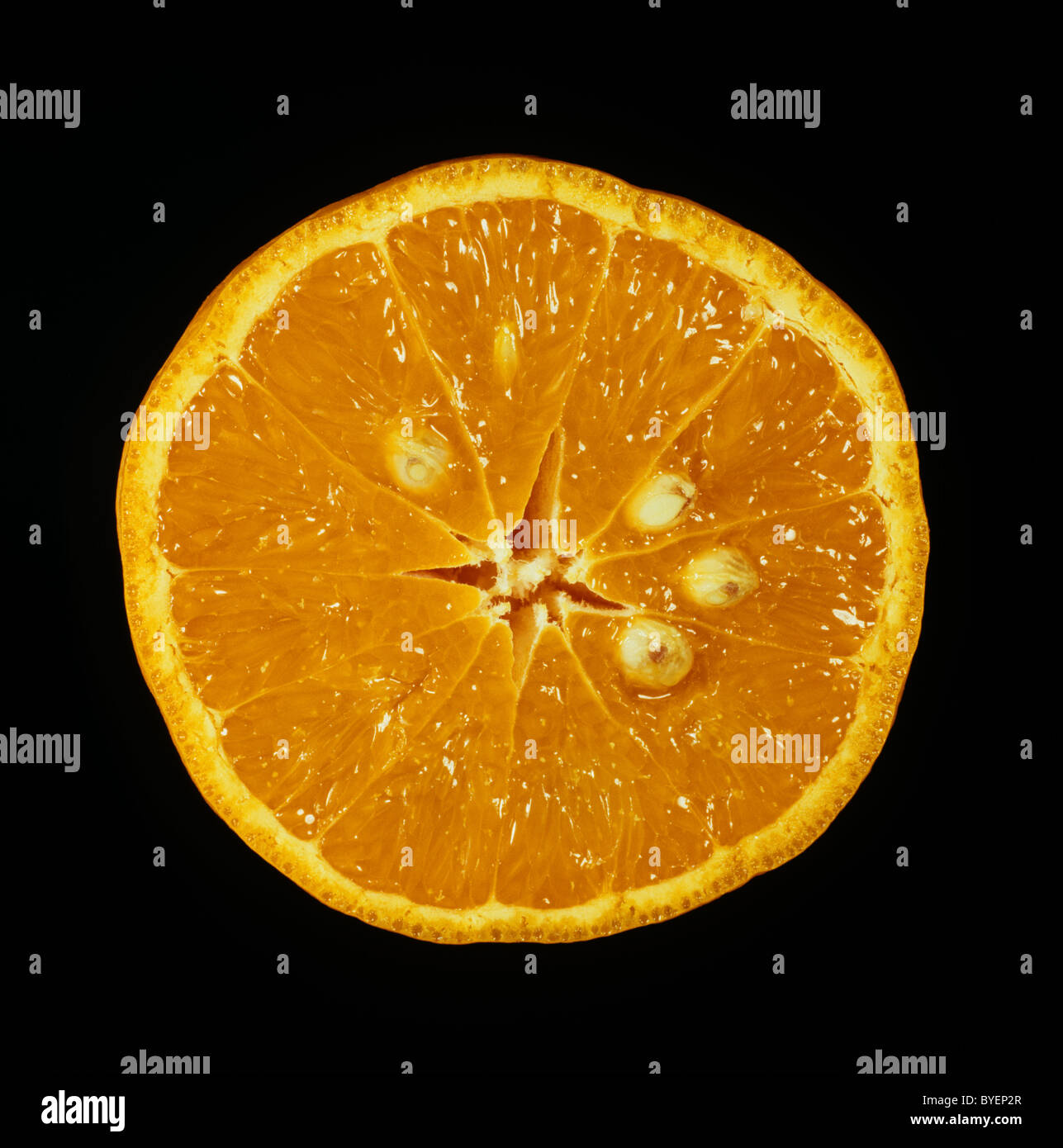 Tagliare la sezione di un agrume mandarin varietà Kara Foto Stock