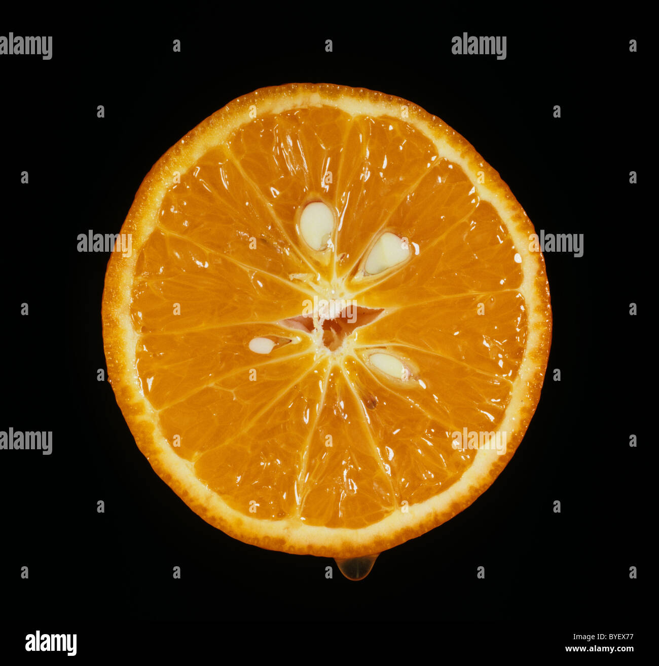 Sezione tagliata del mandarino varietà di frutto Sunburst Foto Stock