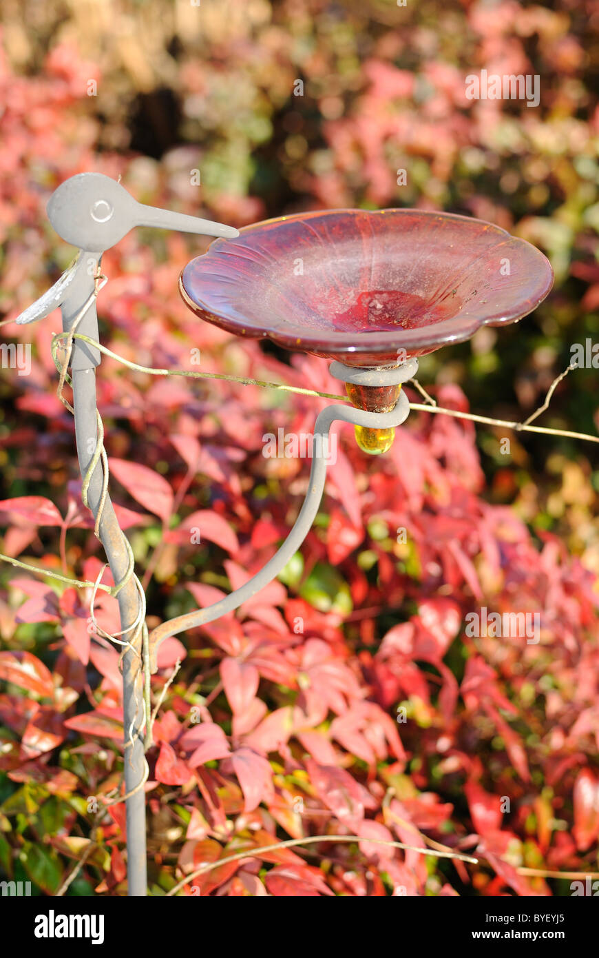 Bagno uccelli come un ornamento di prato. Foto Stock