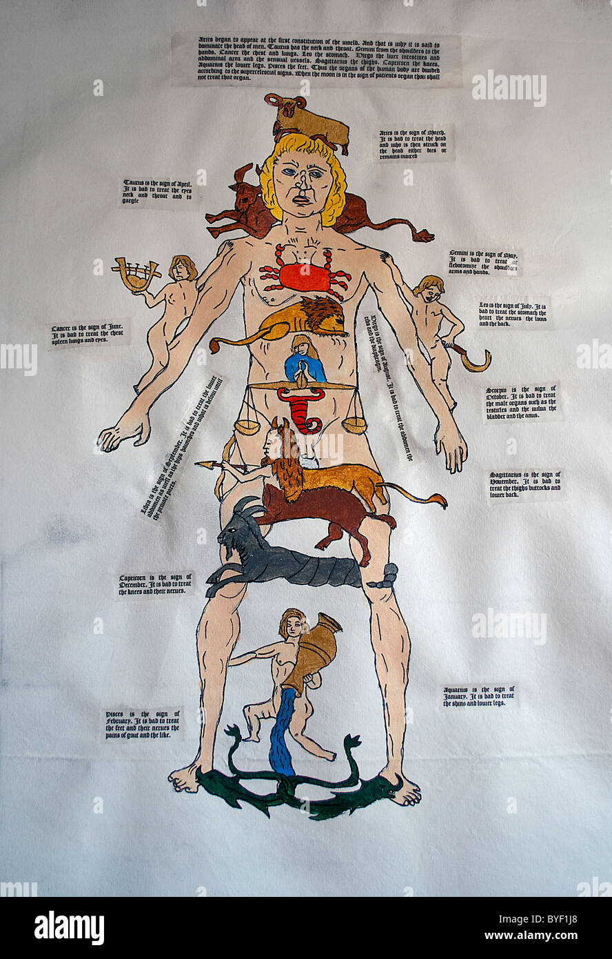Diagrammi medievale dell'anatomia umana Foto Stock