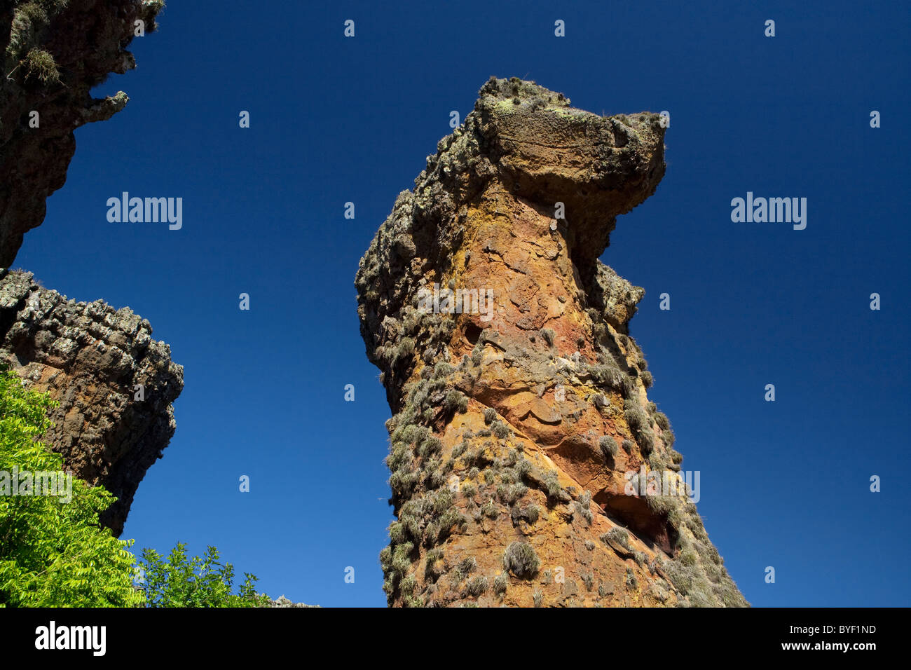 Le formazioni rocciose a Vila Velha parco statale, Parana, Brasile Foto Stock