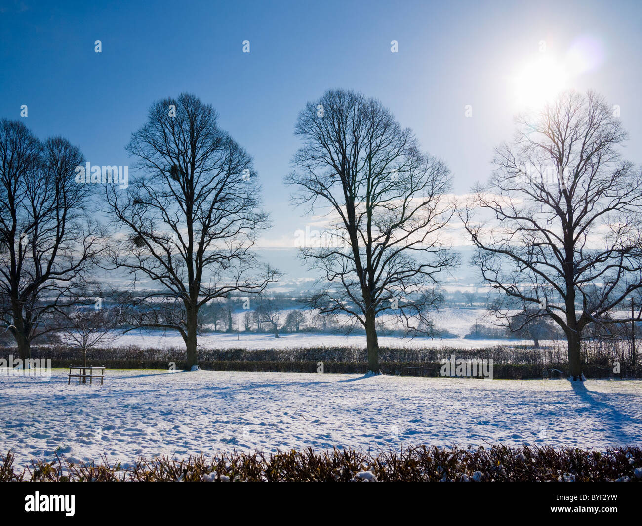 Neve invernale a Wrington, North Somerset, Inghilterra. Foto Stock