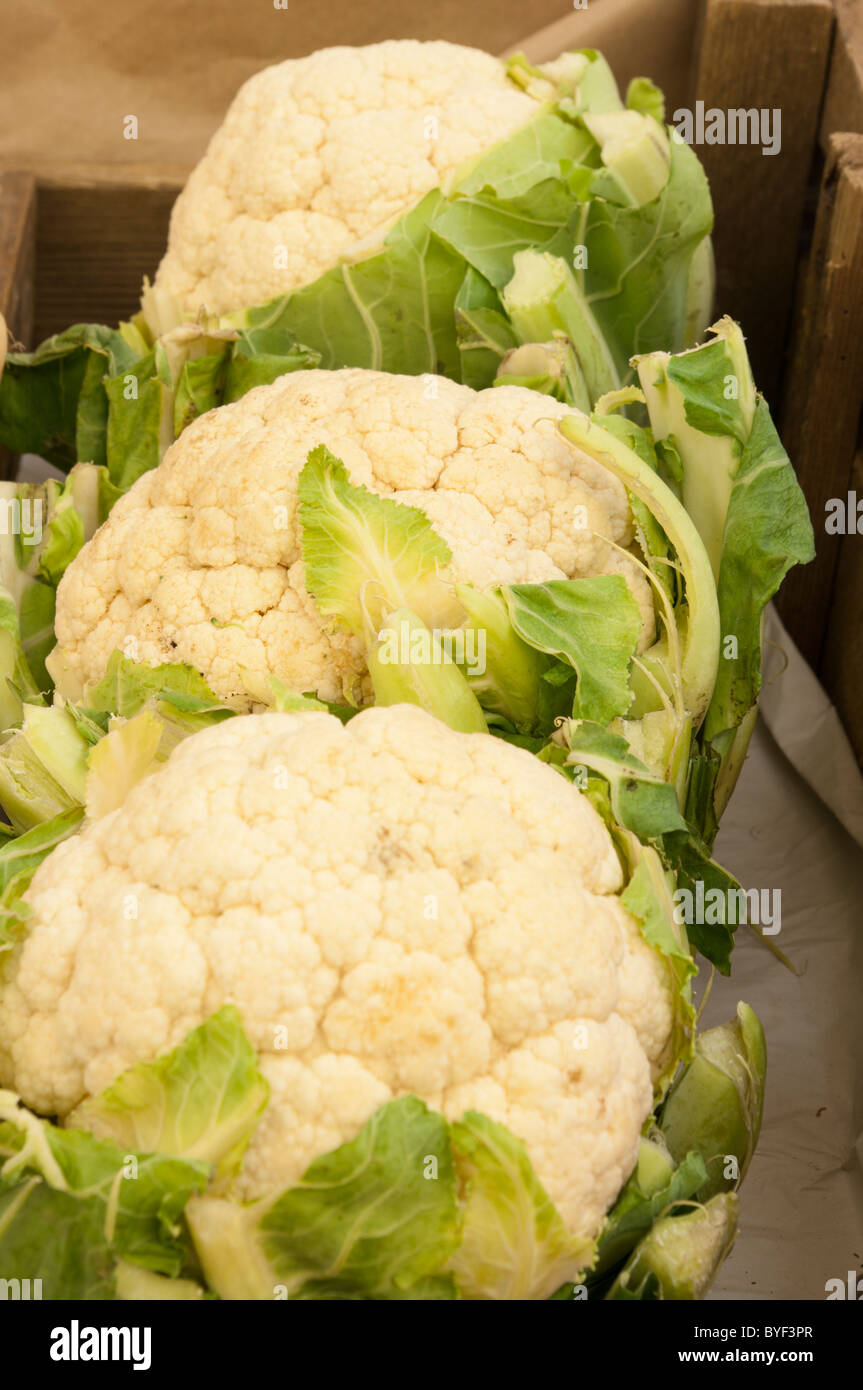 Cavolfiori Foto Stock