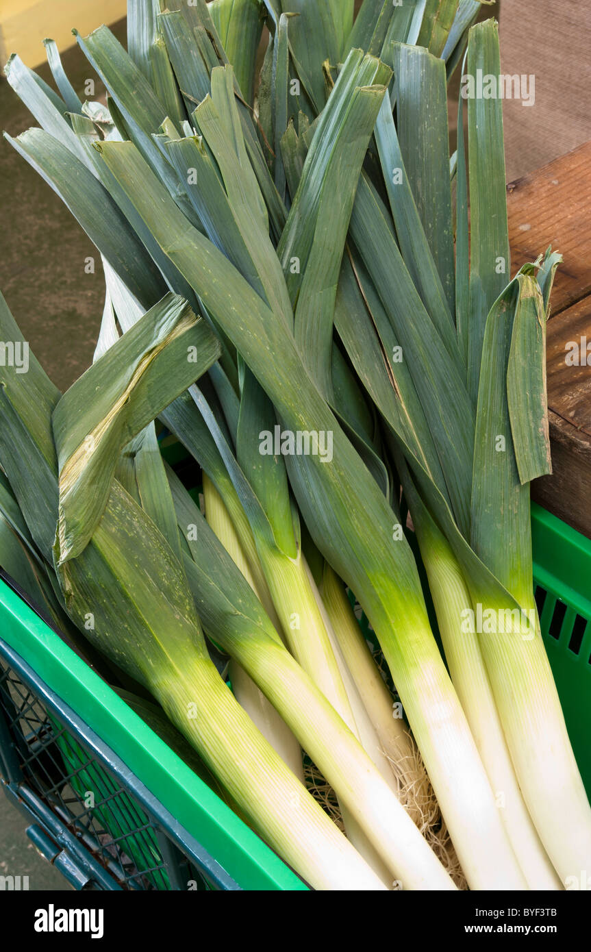 Cestino di porri Foto Stock