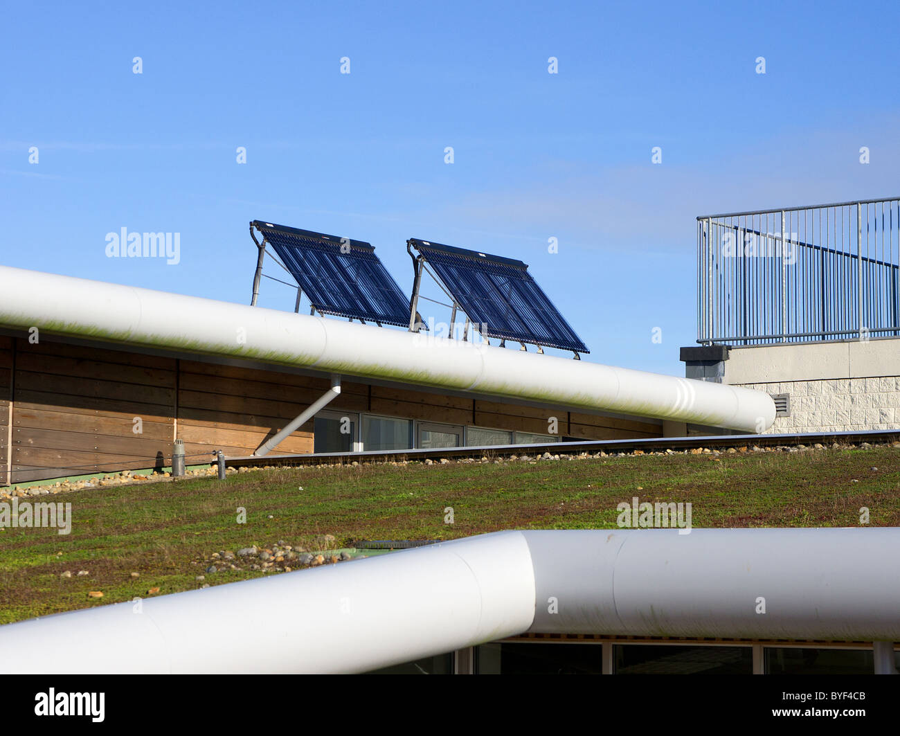 Pannelli solari montati su un ' verde tetto crescente ' presso una scuola in Penryn, Cornwall, Regno Unito Foto Stock