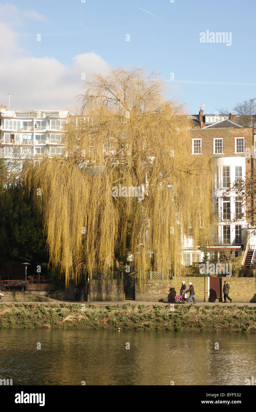 La gente che camminava sul Fiume Tamigi alzaia vicino a Richmond upon Thames Foto Stock