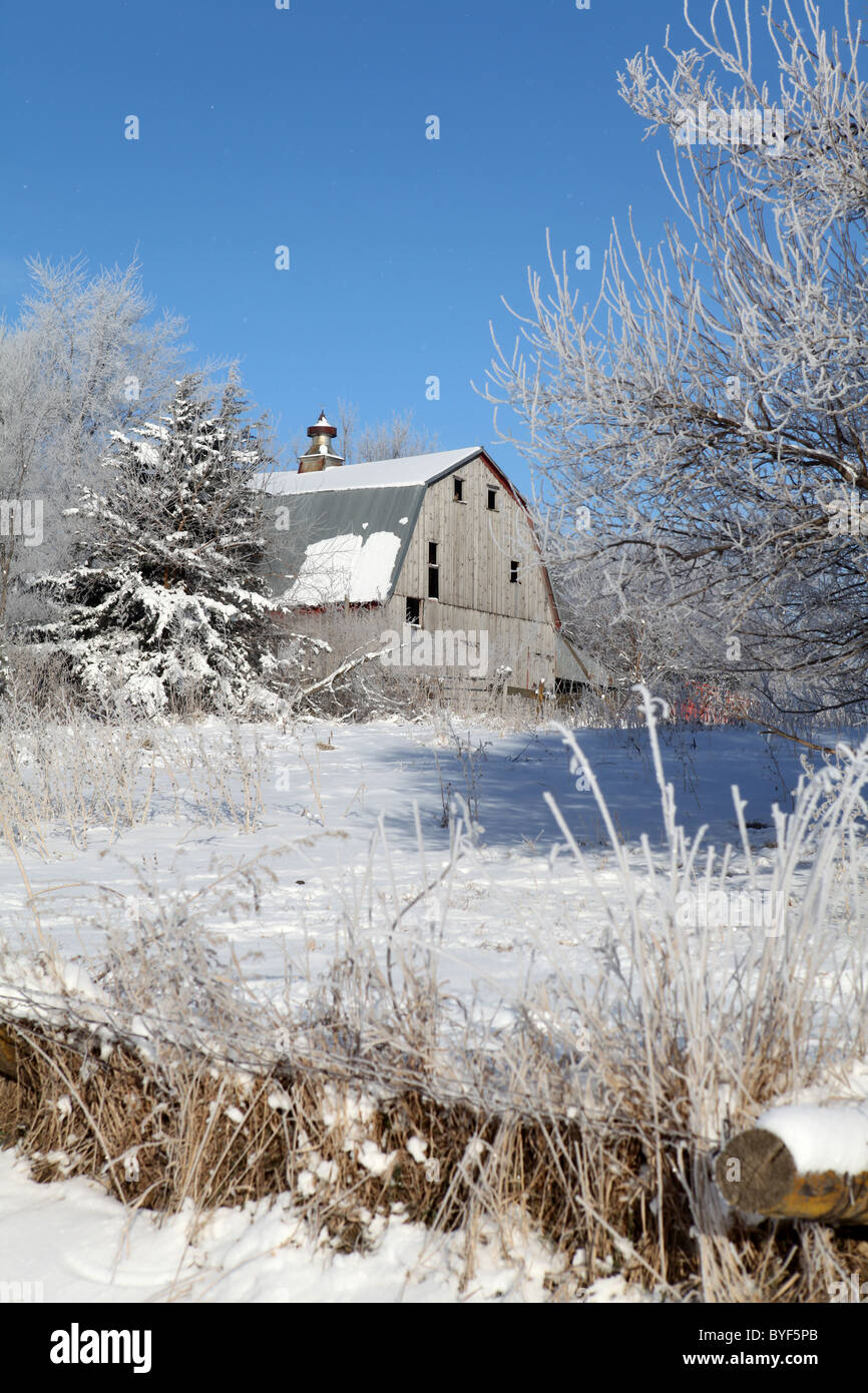 Il vecchio fienile in inverno circondato da alberi e neve. Iowa Foto Stock