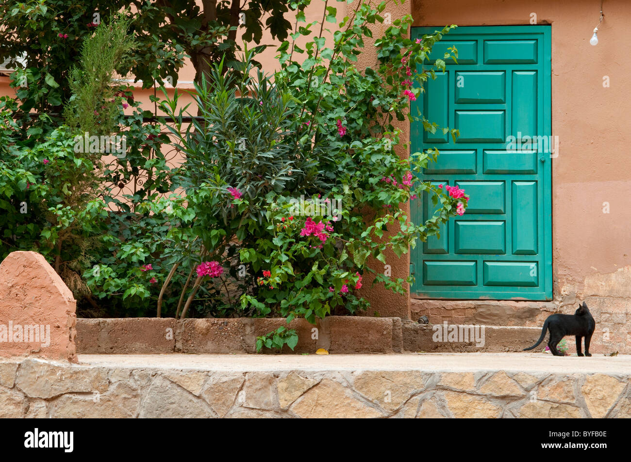 Una porta verde con gatto nero in Dade's Canyon, Marocco. Foto Stock