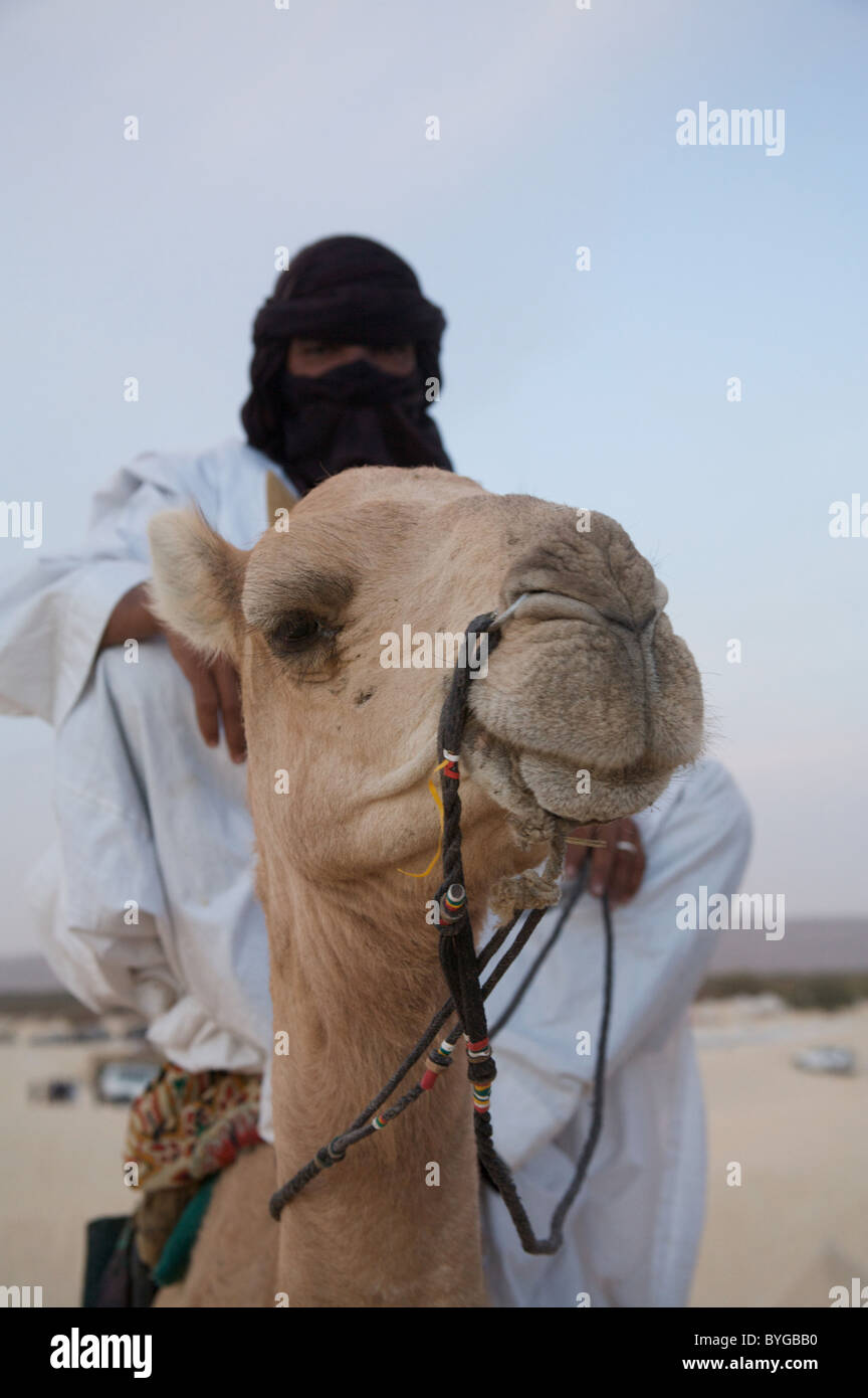 Un touareg posa sul suo cammello, al festival di musica nel deserto, essakane, vicino a Timbuctù, nel nord del Mali, Africa occidentale Foto Stock
