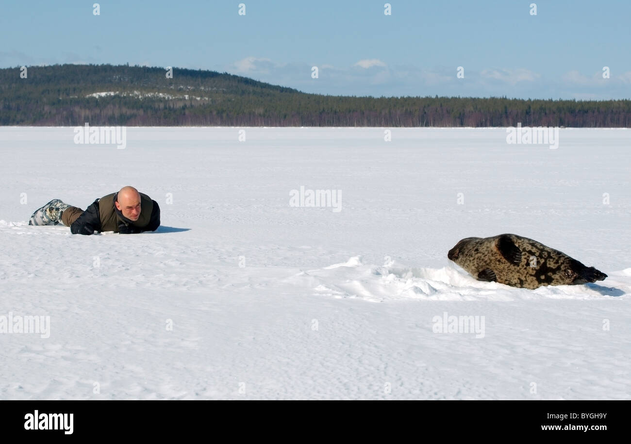 L uomo giace sulla neve e guarda alla guarnizione inanellato vicino a ice-foro. Guarnizione Jar, netsik o nattiq (Pusa hispida), Mare Bianco, artiche, Russia Foto Stock