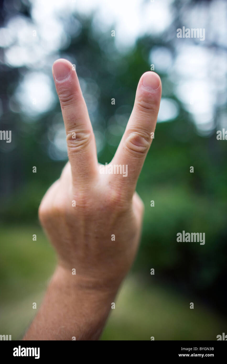 Stretta di mano maschio che mostra segni di pace Foto Stock