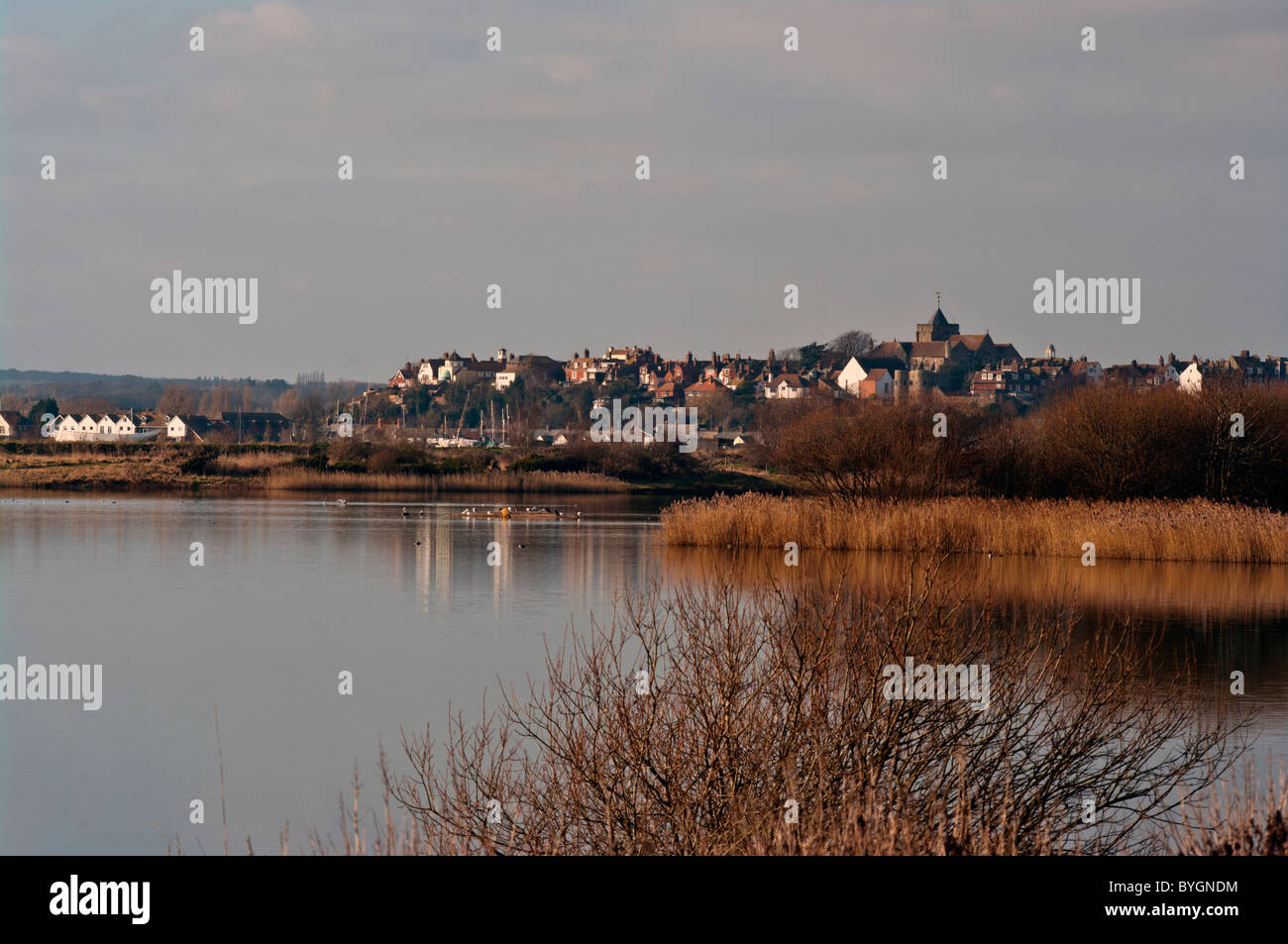 La segala East Sussex England Foto Stock