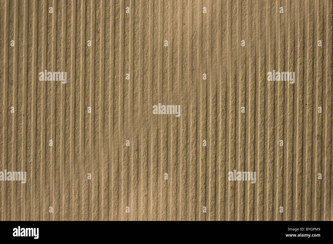 Striping riciclata carta cartone macro. Texture di sfondo. Foto Stock