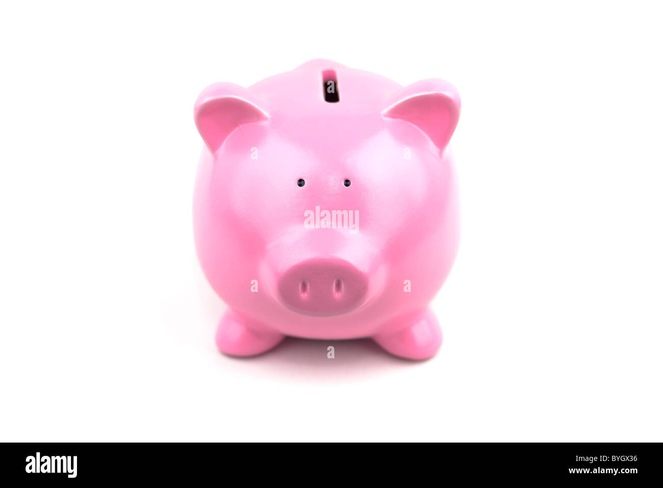 La mia piccola rosa salvadanaio. Foto Stock