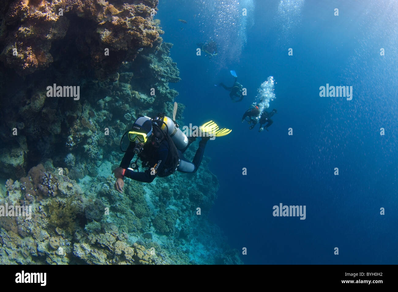 Scuba diwer nuotare vicino a parete sala Blu, Egitto, Dahab Foto Stock