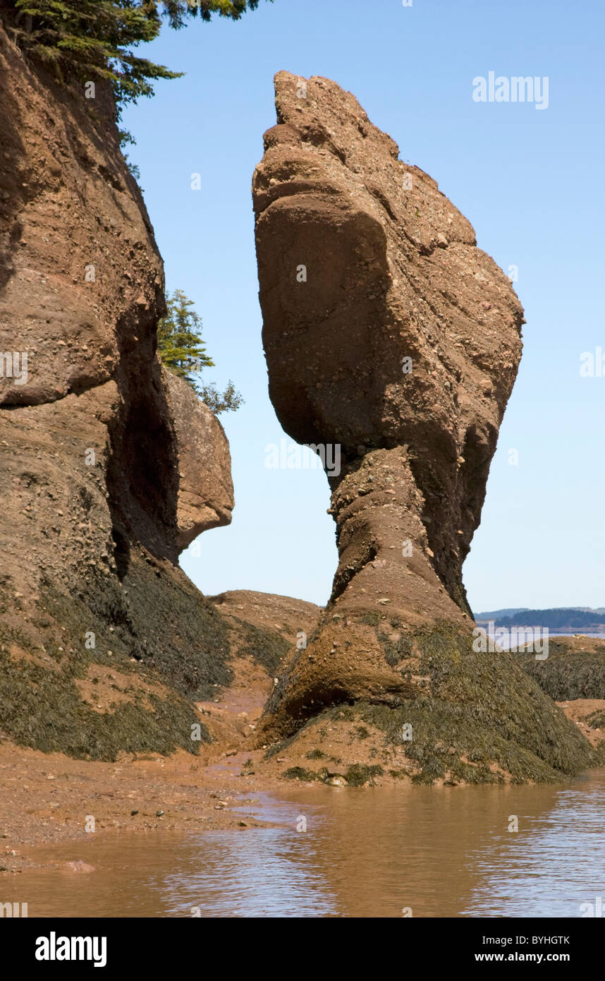 Hopewell rocce a bassa marea, New Brunswick, Canada Foto Stock