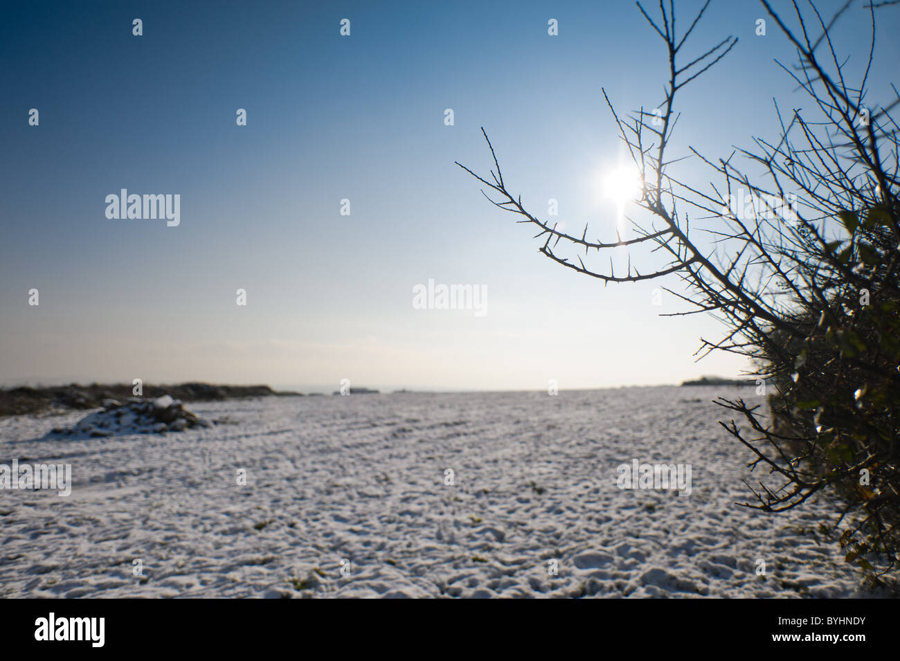 Sotto un cielo azzurro e sole splendente una bianca coltre di neve copre i campi su una fattoria tra Carbis Bay & Trink in West Cornwall Foto Stock