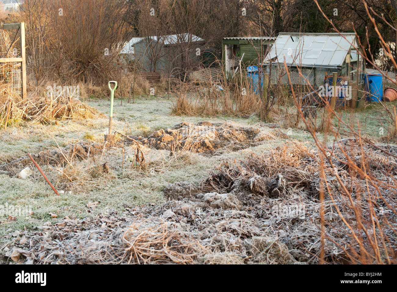 Un riparto giardino su un freddo gelido inverno mattina, Wales UK Foto Stock