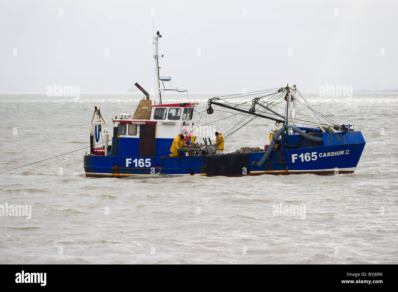 Il Cardium II, a Whitstable in base cockle draga barca di lavoro appena fuori Southend on Sea, Essex nell'estuario del Tamigi. Foto Stock