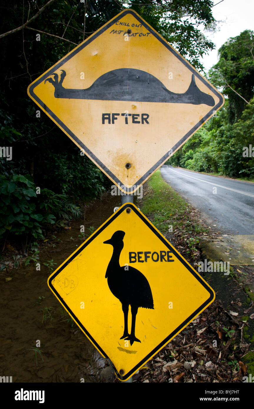 Un divertente firmare i driver di avvertimento di uccelli Casuario sulla strada nel Parco Nazionale Daintree Queensland Australia Foto Stock