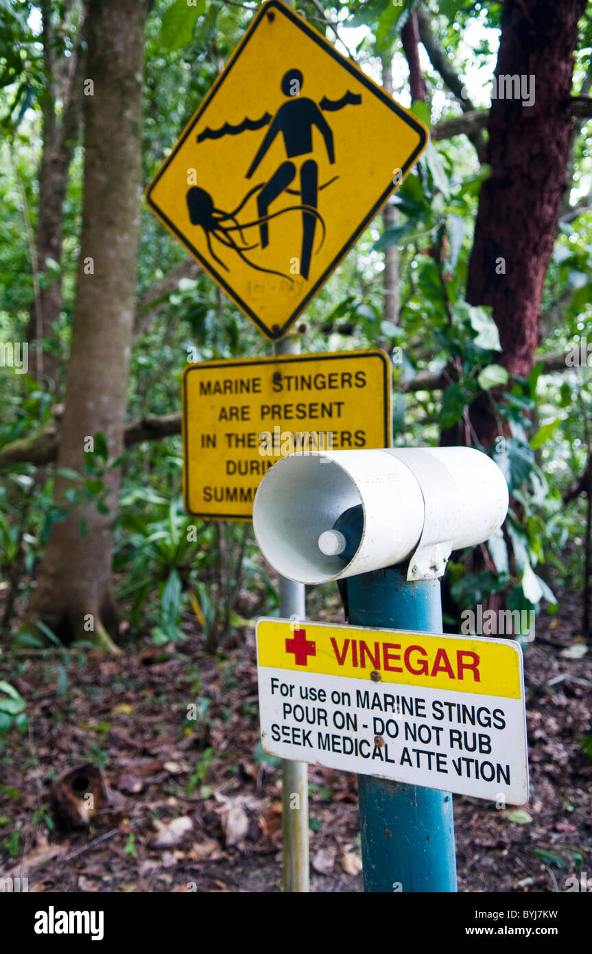 Stinger Marine cartello segnaletico Queensland Australia Foto Stock