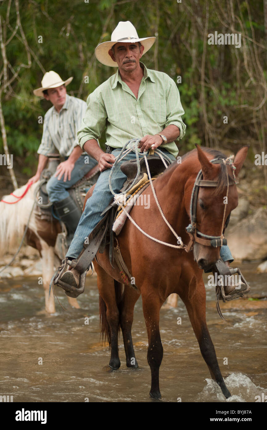 Due ranchers a cavallo in un ranch in Honduras, Rancher di fronte è Don Arnulfo, lavorando con il suo cavallo al ranch Finca El Cisne vicino a Copán. Foto Stock